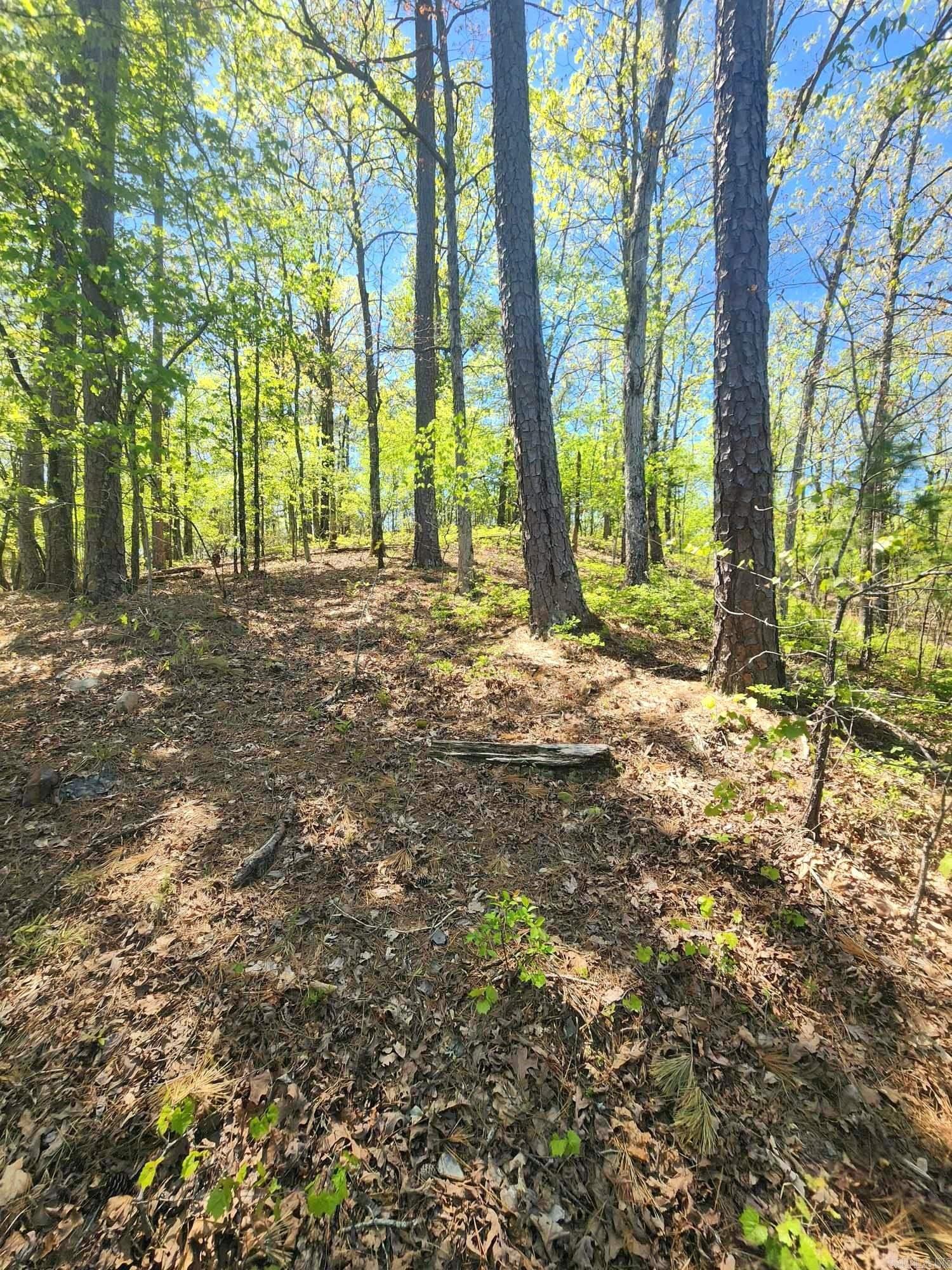 Lots 76-78  Red Oak Drive  Mena, AR
