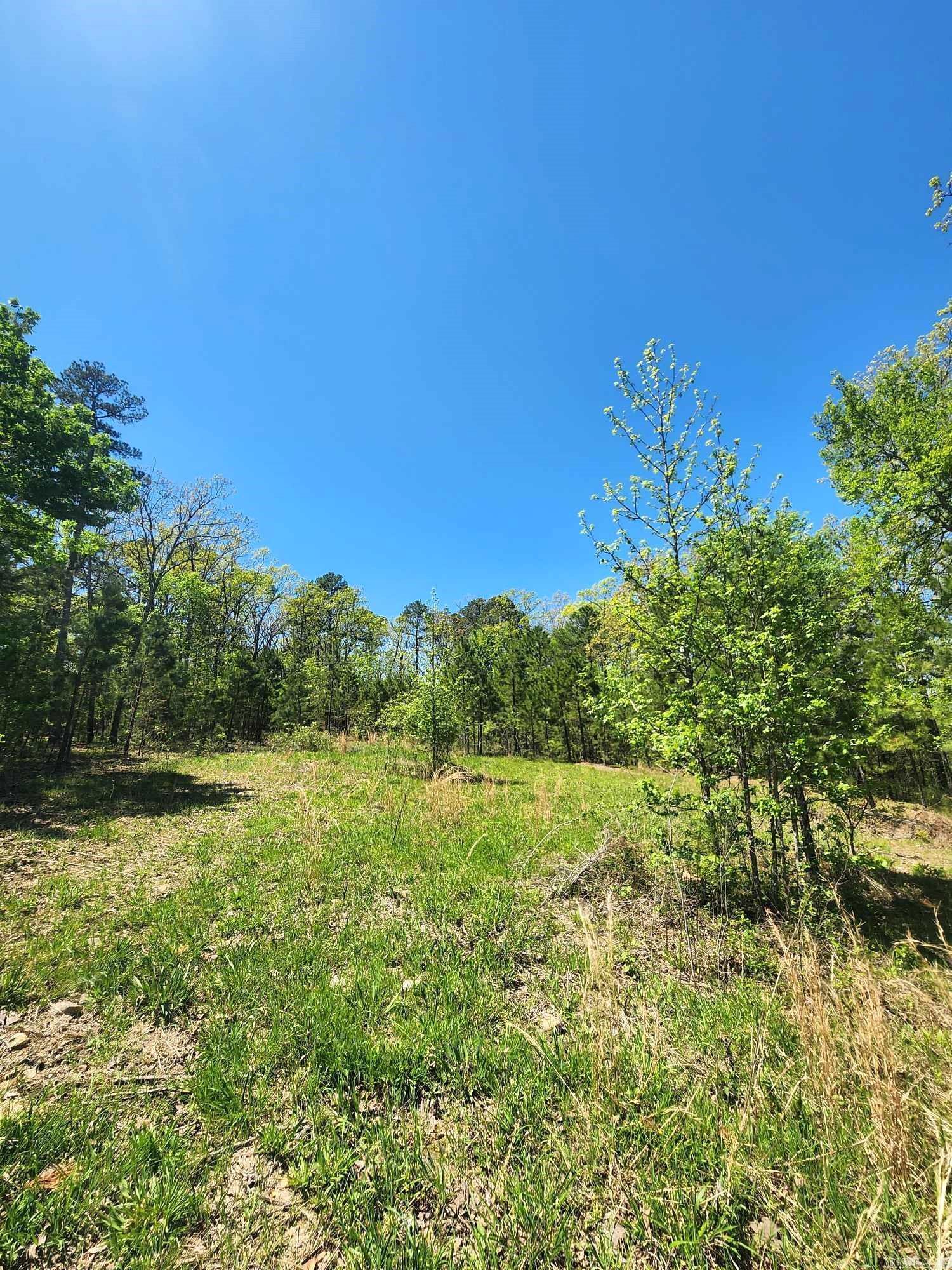 Lots 76-78  Red Oak Drive  Mena, AR