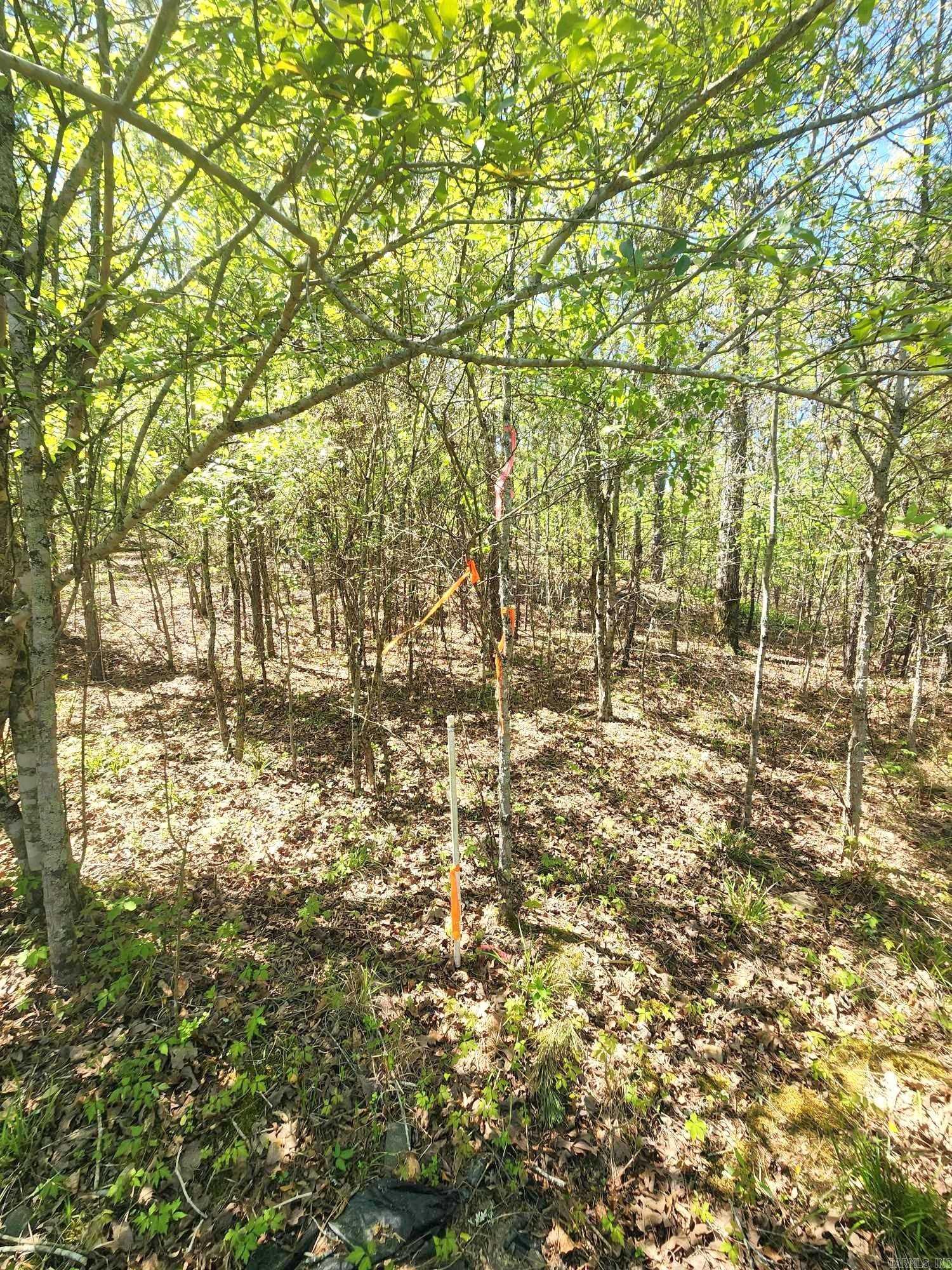 Lots 76-78  Red Oak Drive  Mena, AR