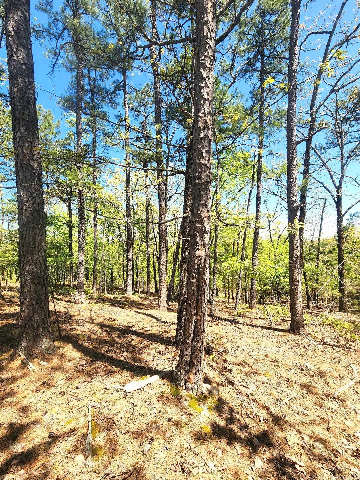 Lots 76-78  Red Oak Drive  Mena, AR