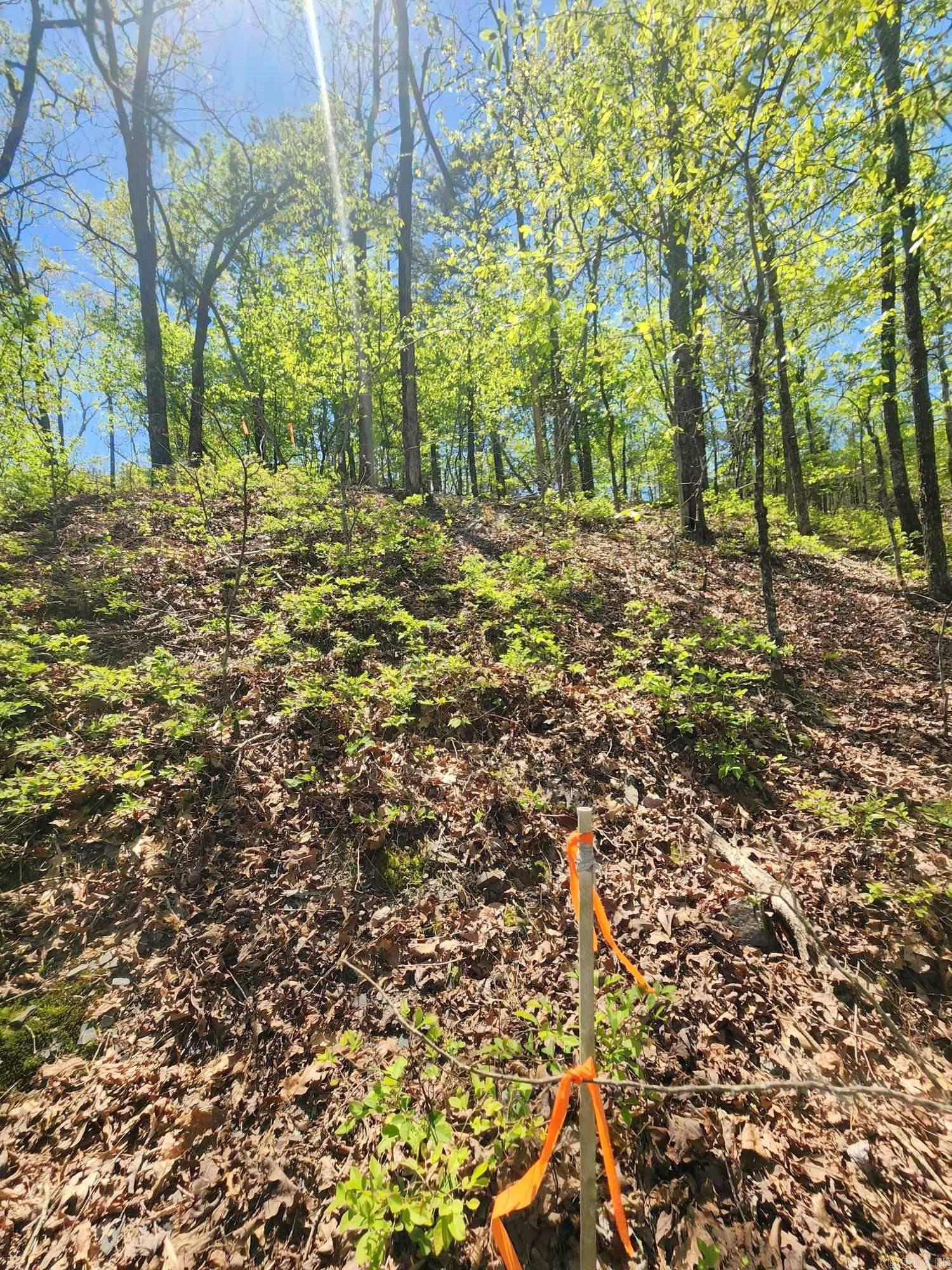 Lots 76-78  Red Oak Drive  Mena, AR