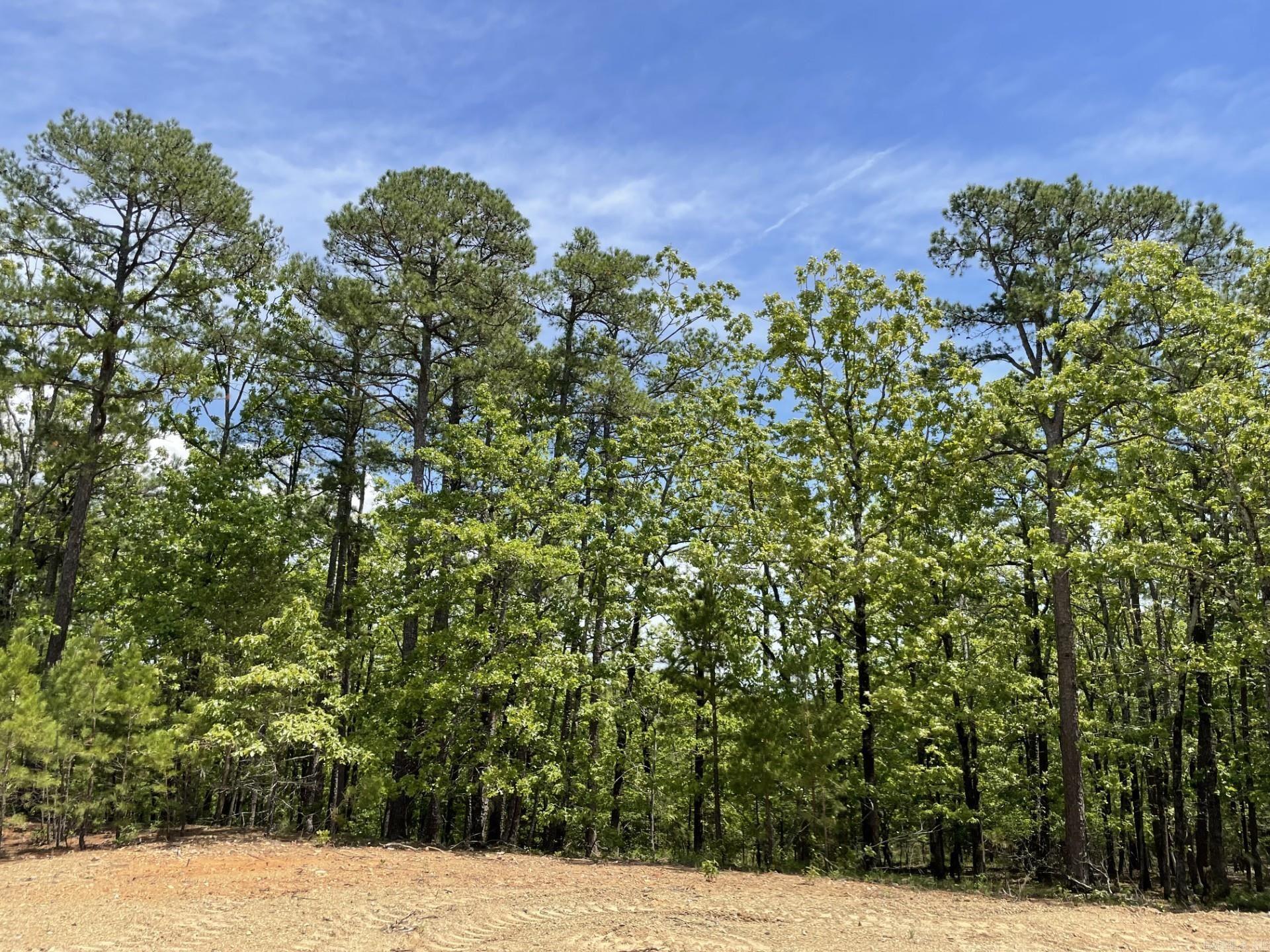 Lots 76-78  Red Oak Drive  Mena, AR