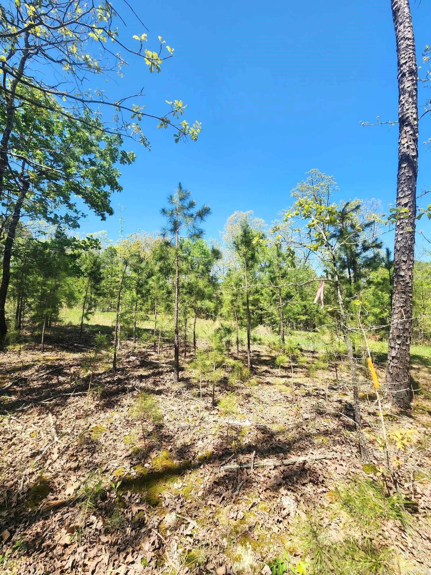Lots 76-78  Red Oak Drive  Mena, AR