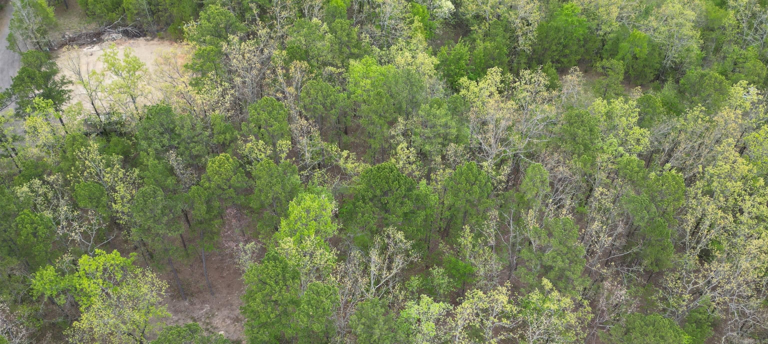 Lots 76-78  Red Oak Drive  Mena, AR