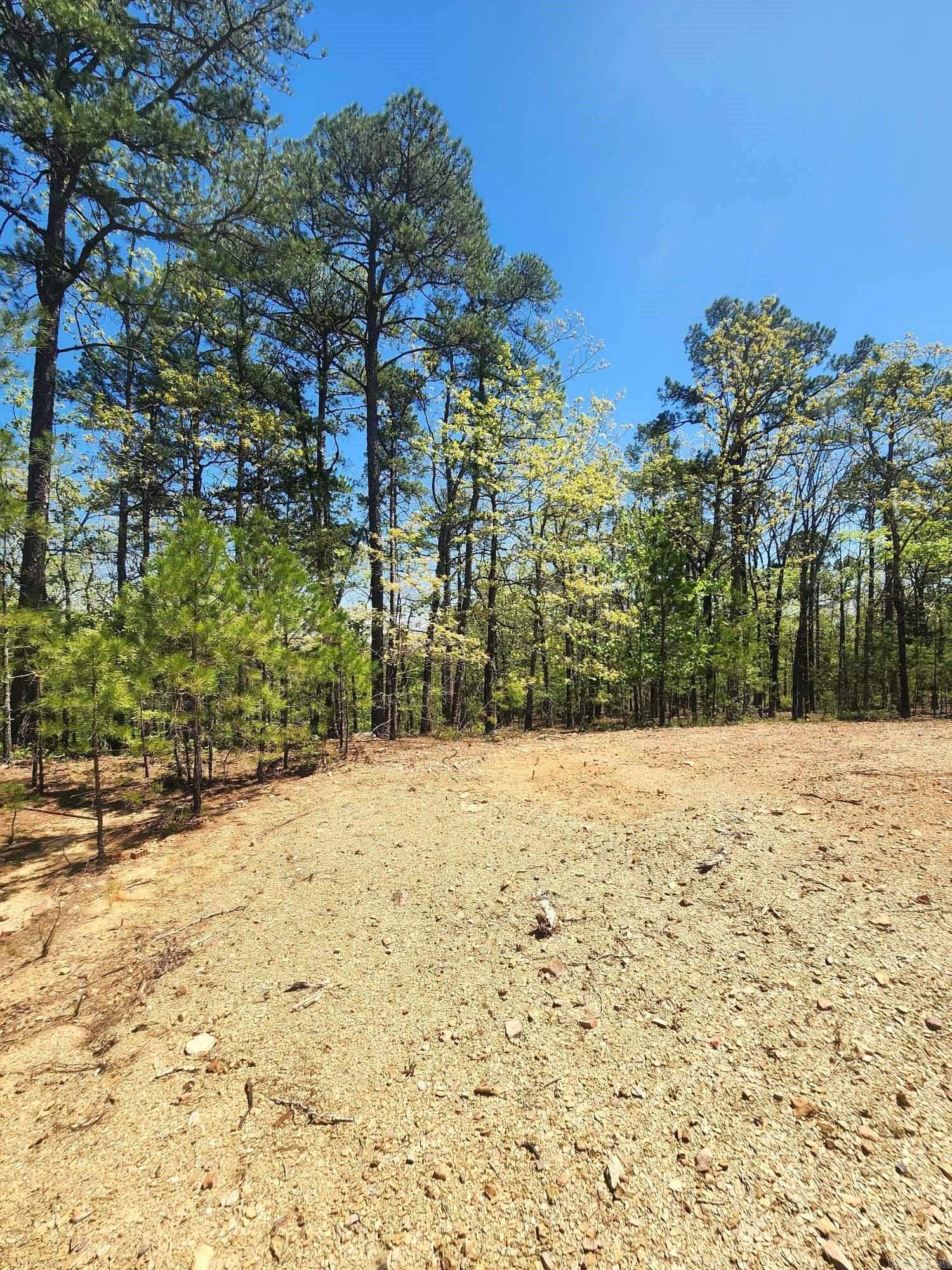 Lots 76-78  Red Oak Drive  Mena, AR