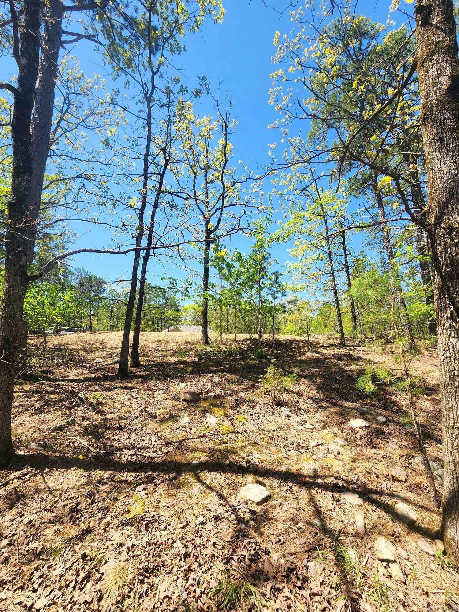 Lots 76-78  Red Oak Drive  Mena, AR