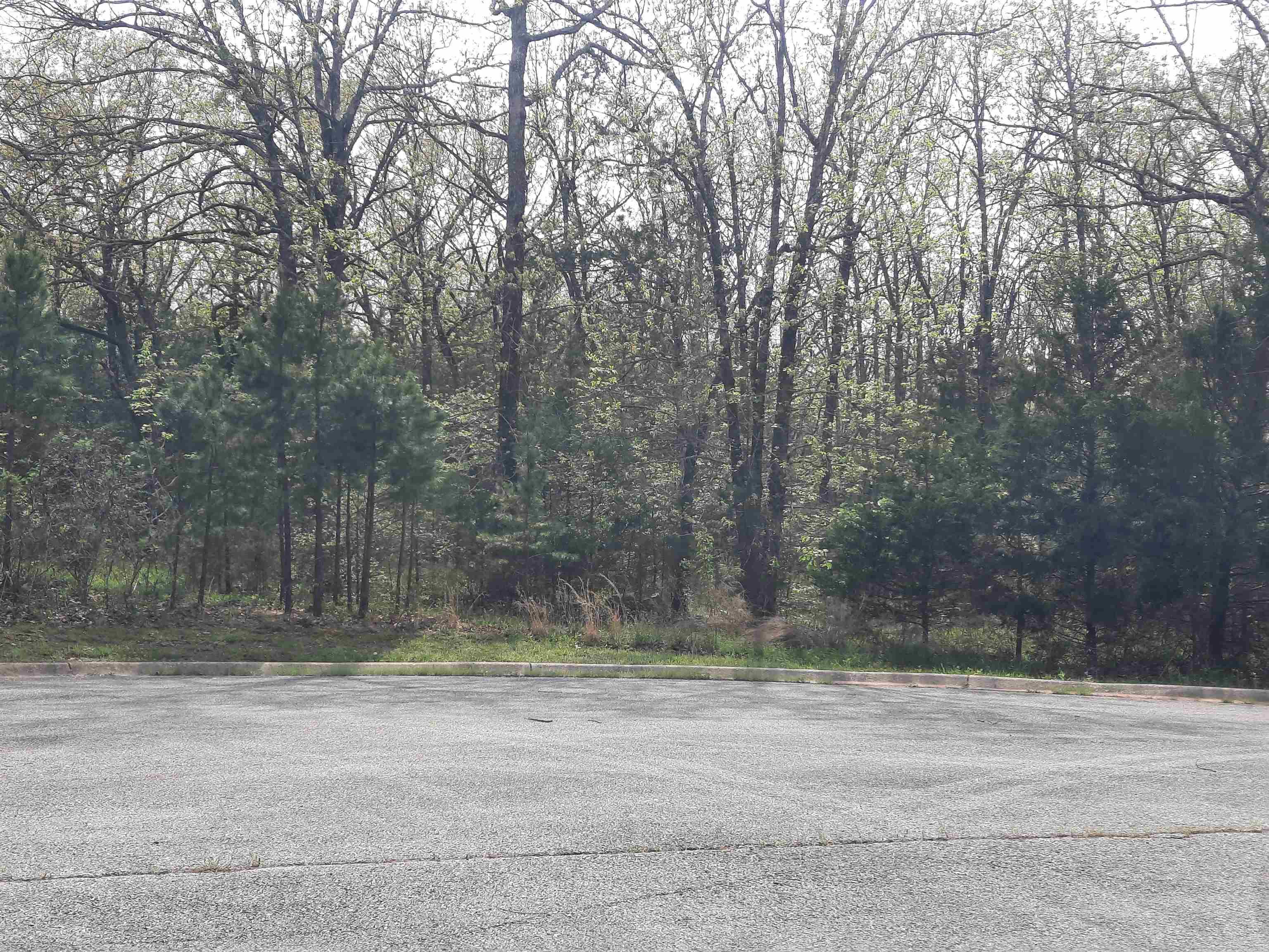 Lot 34  Tunica  Mountain View, AR