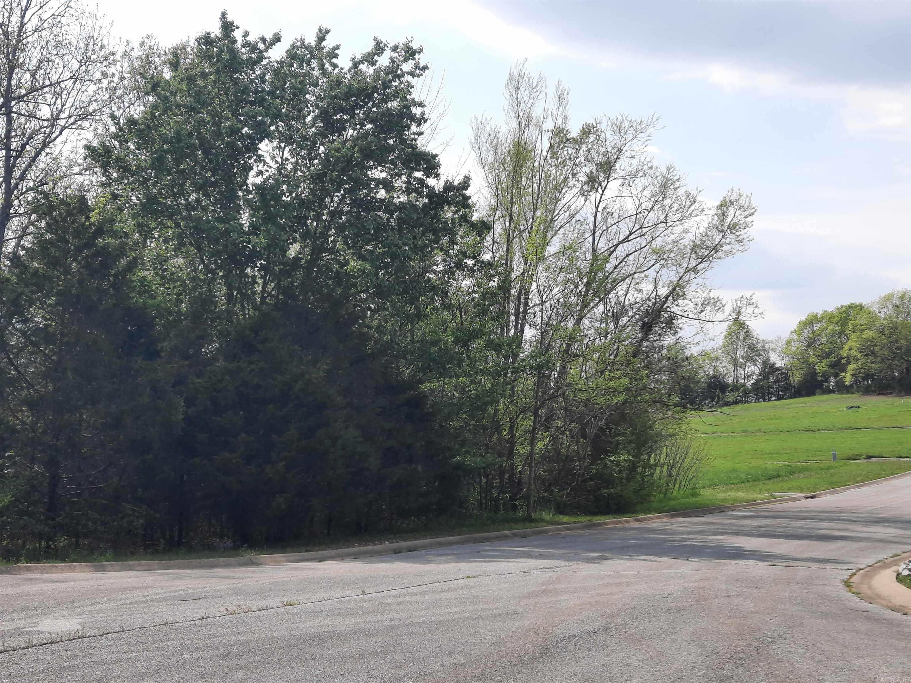 Lots 33 & 34  Tunica st  Mountain View, AR