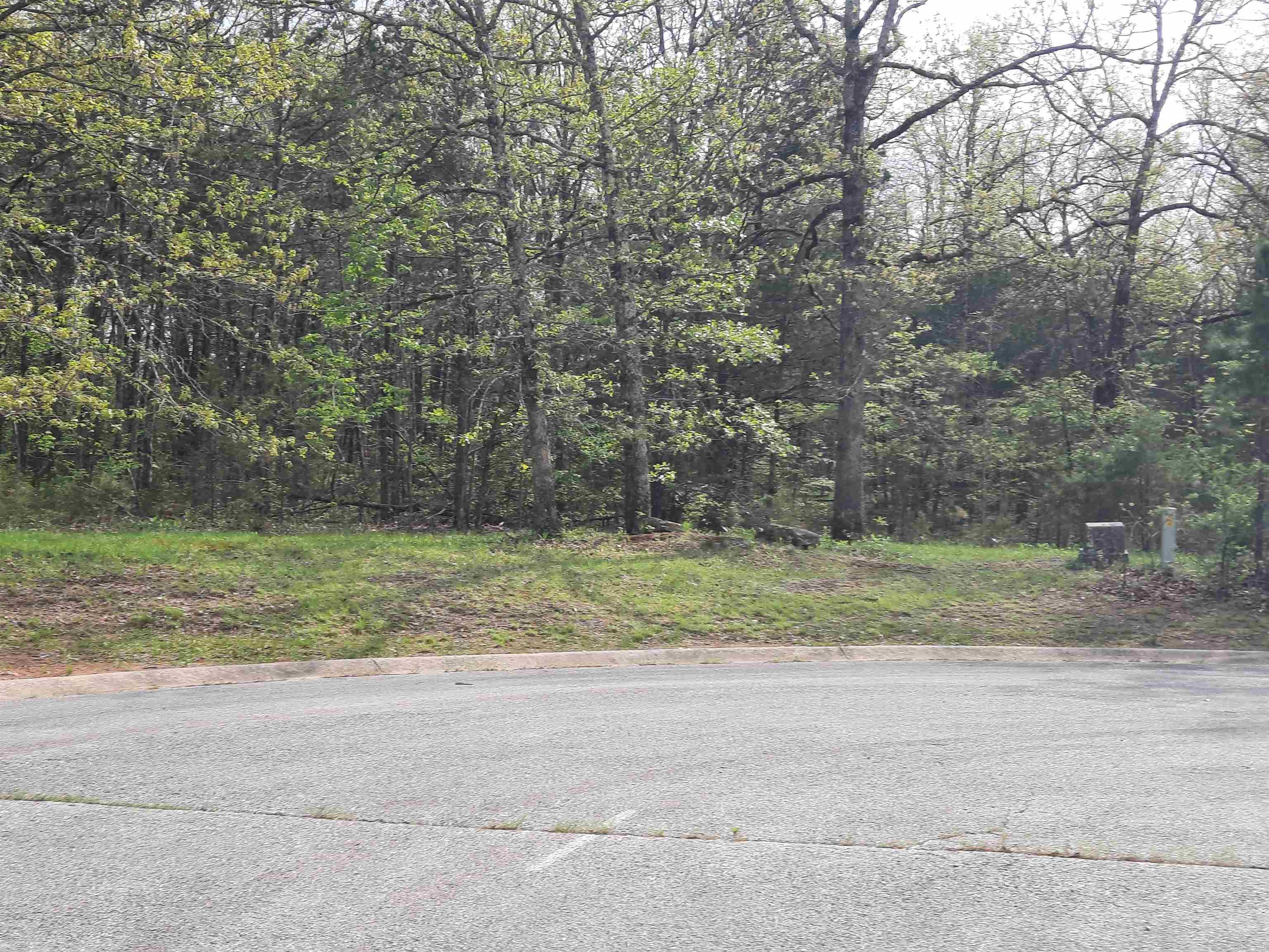 Lots 33 & 34  Tunica st  Mountain View, AR