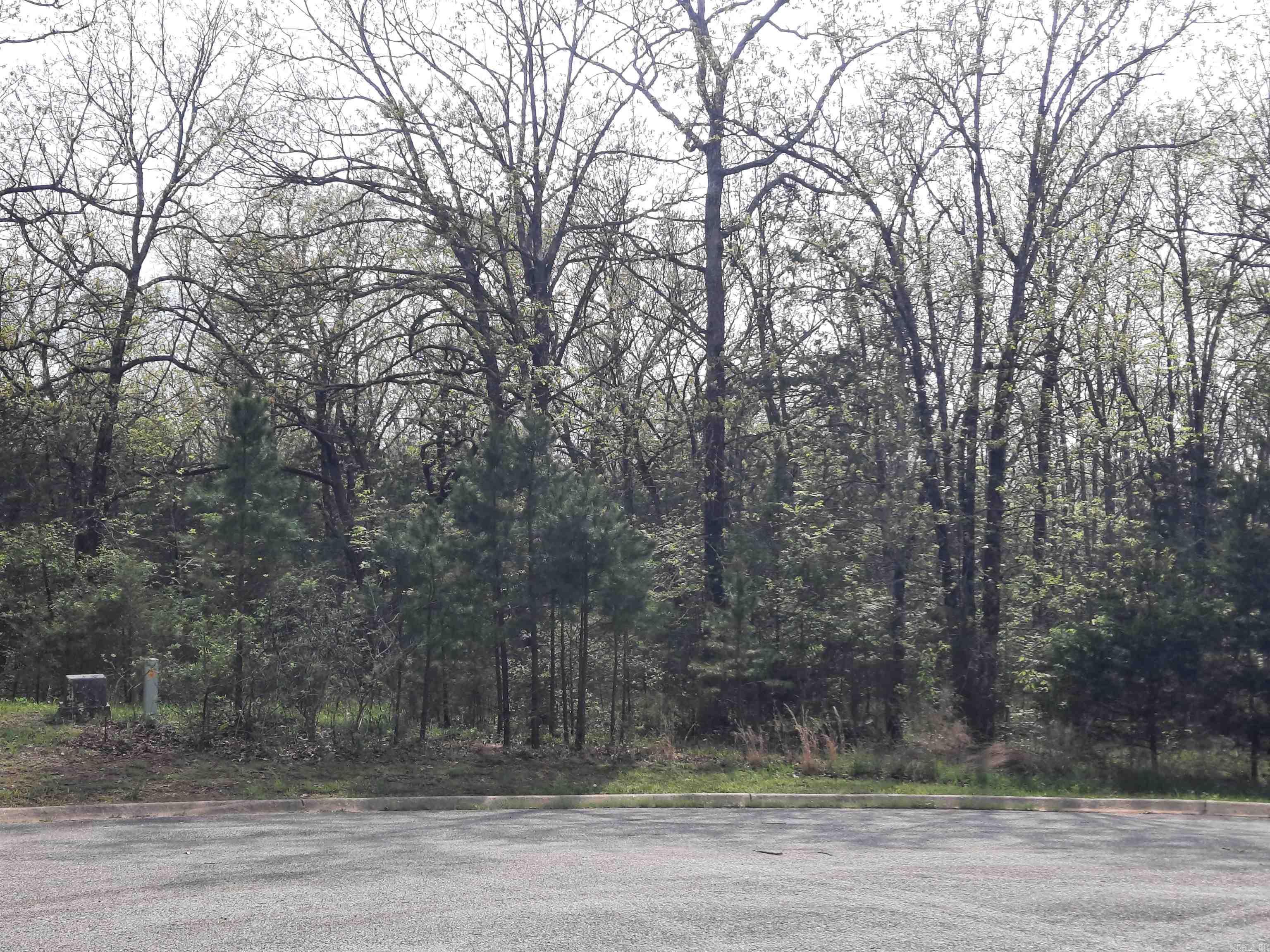 Lots 33 & 34  Tunica st  Mountain View, AR