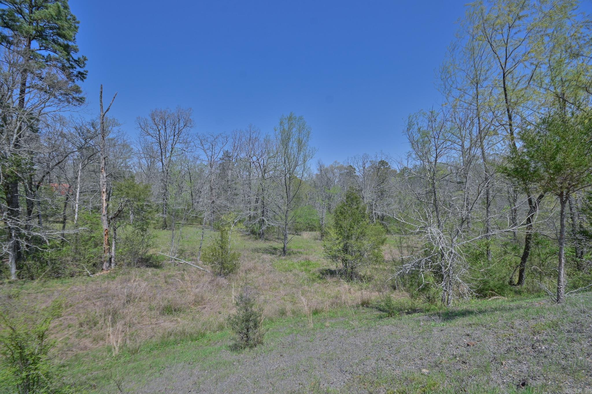 1295  Polk Road 47  Mena, AR