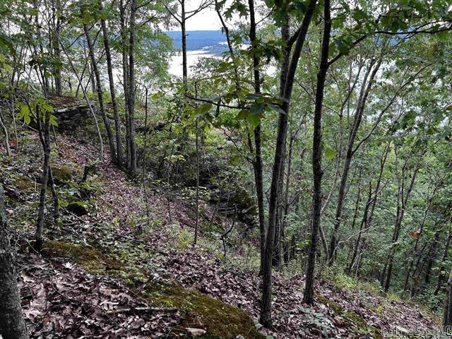 Lot 39  Bluff View Drive  Quitman, AR