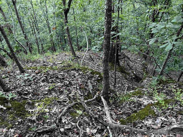 Lot 39  Bluff View Drive  Quitman, AR