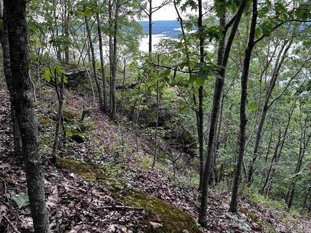 Lot 39  Bluff View Drive  Quitman, AR