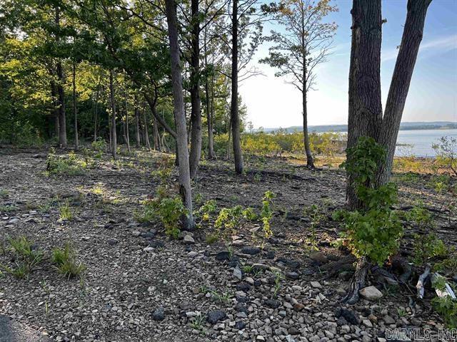 Lot 39  Bluff View Drive  Quitman, AR