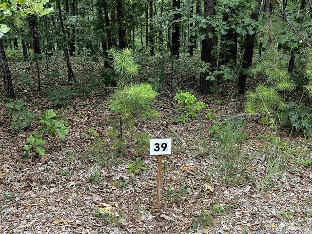 Lot 39  Bluff View Drive  Quitman, AR