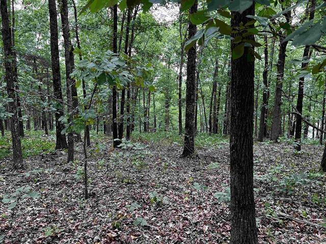 Lot 39  Bluff View Drive  Quitman, AR