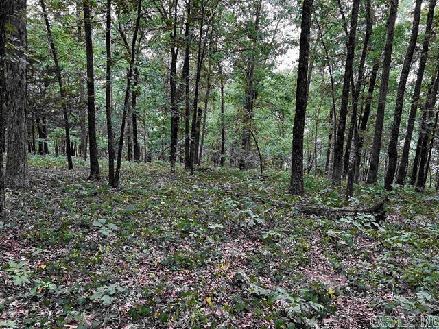 Lot 39  Bluff View Drive  Quitman, AR