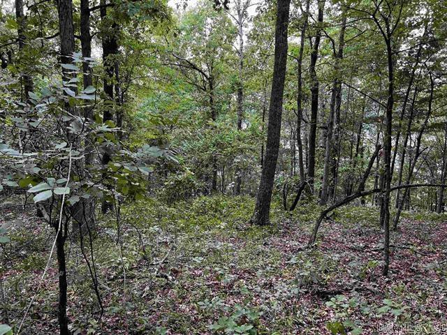 Lot 39  Bluff View Drive  Quitman, AR