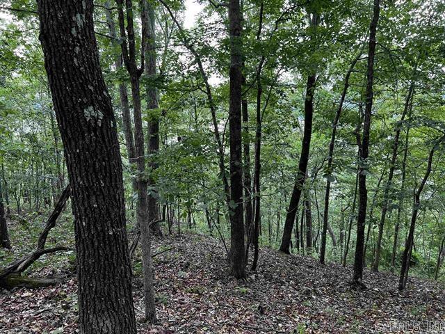 Lot 39  Bluff View Drive  Quitman, AR