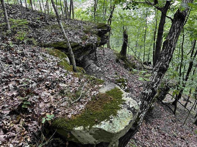 Lot 39  Bluff View Drive  Quitman, AR
