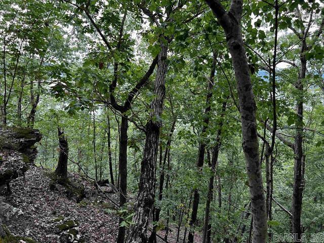 Lot 39  Bluff View Drive  Quitman, AR
