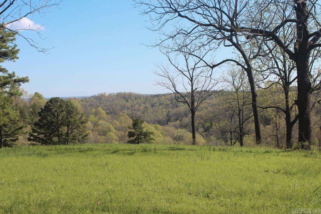 593  Hillhollow Rd  Marshall, AR