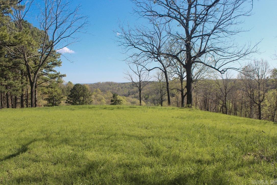 593  Hillhollow Rd  Marshall, AR
