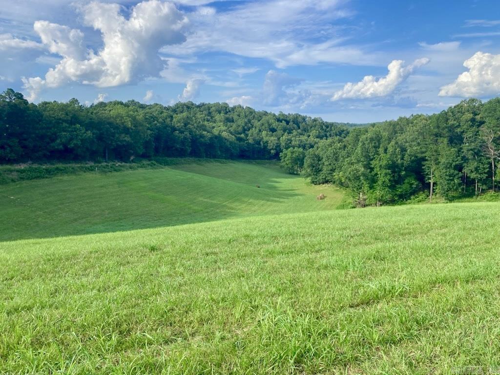 593 Hillhollow Rd Marshall, AR 72650