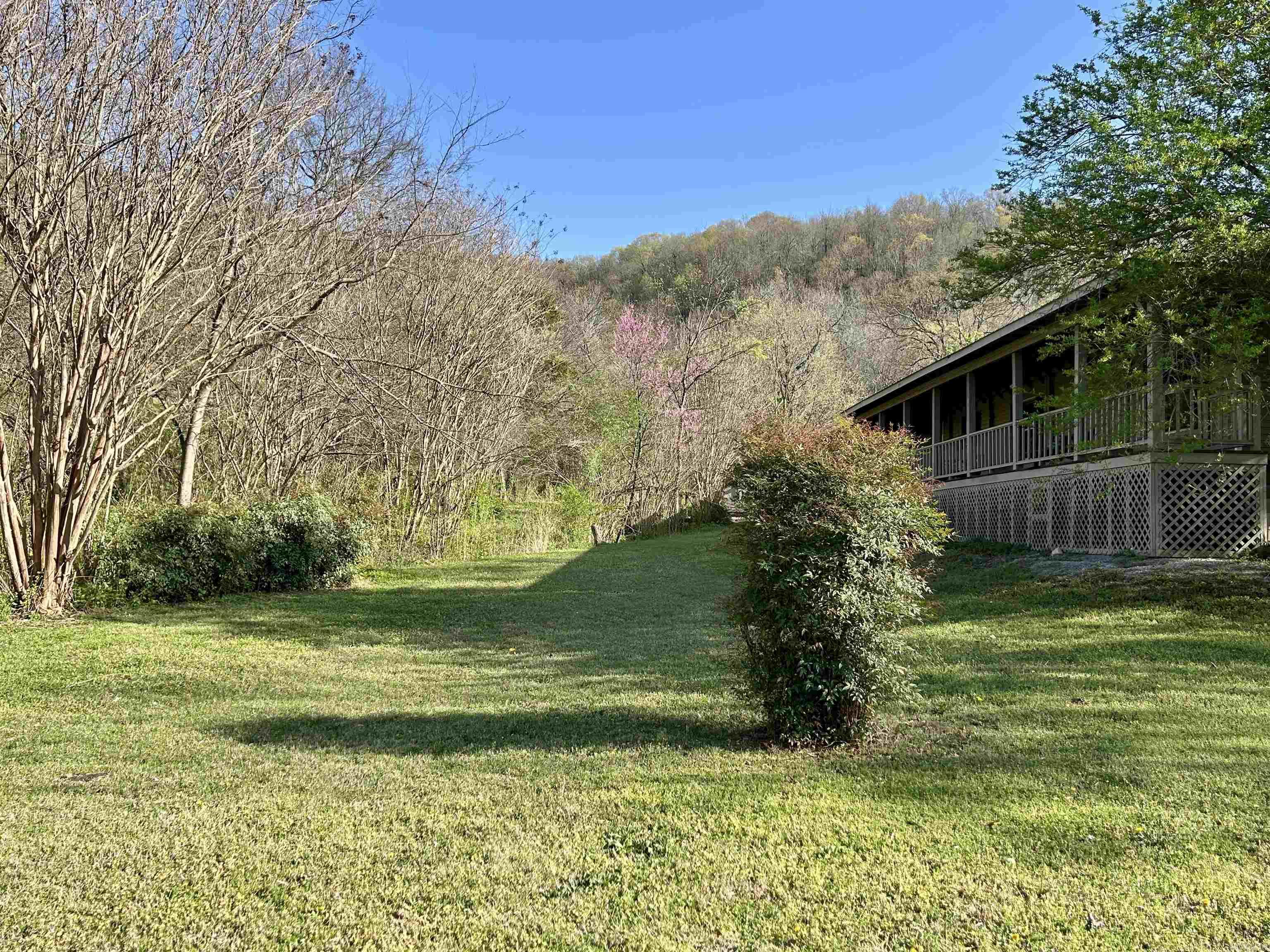 364  Bagby Ln  Mountain View, AR