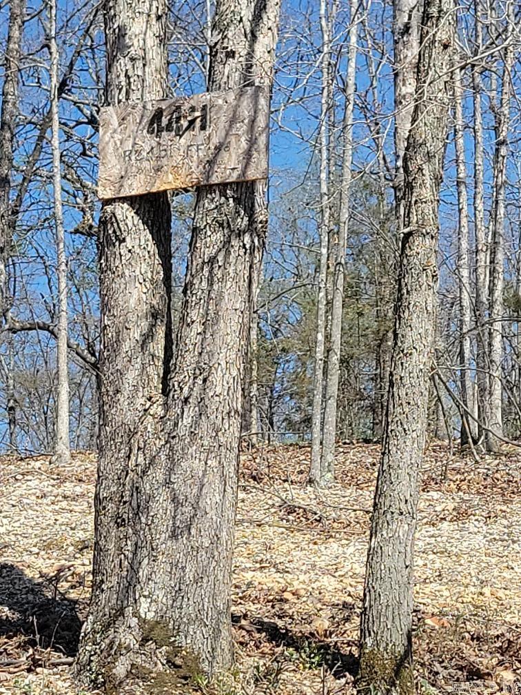 4411  Red Bluff  Marshall, AR