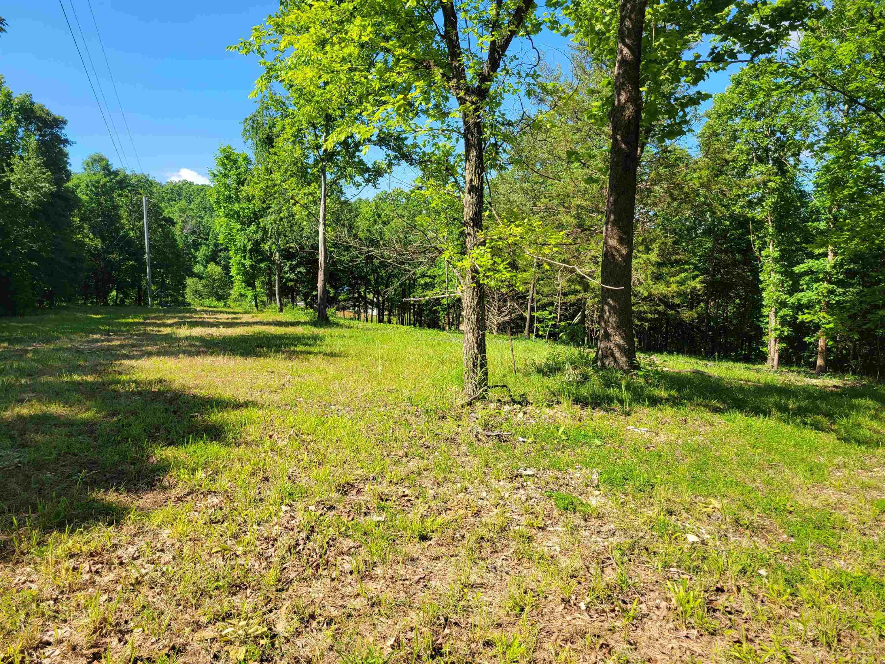 4411 Red Bluff  Marshall, AR