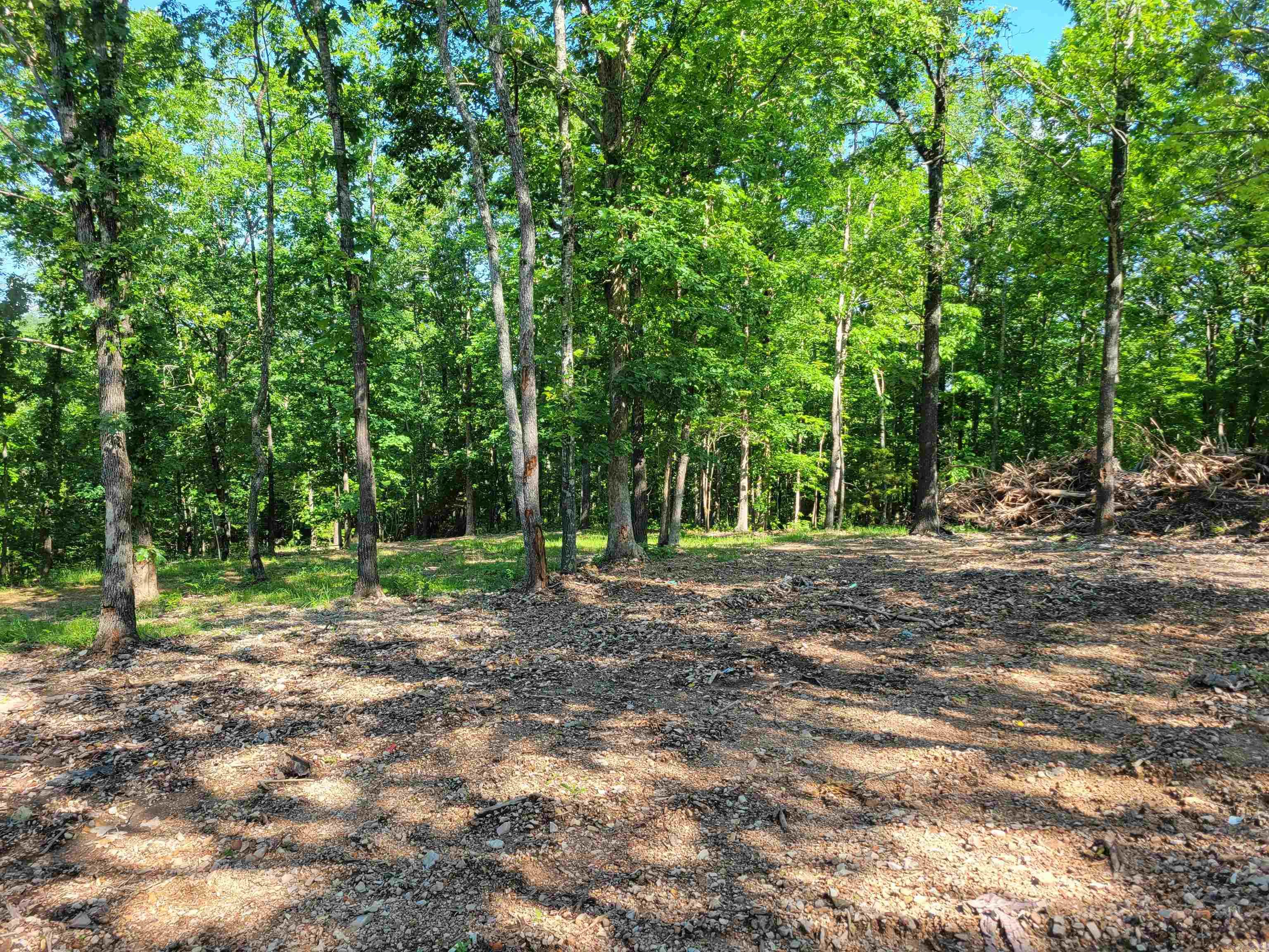 4411 Red Bluff  Marshall, AR