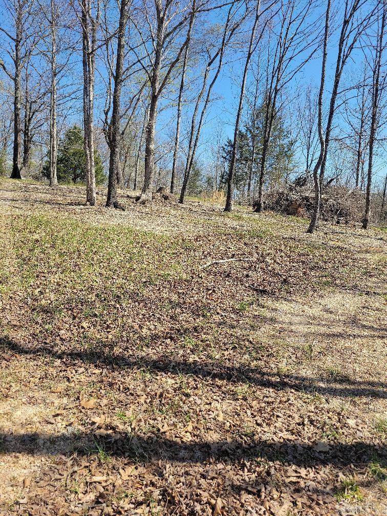 4411  Red Bluff  Marshall, AR