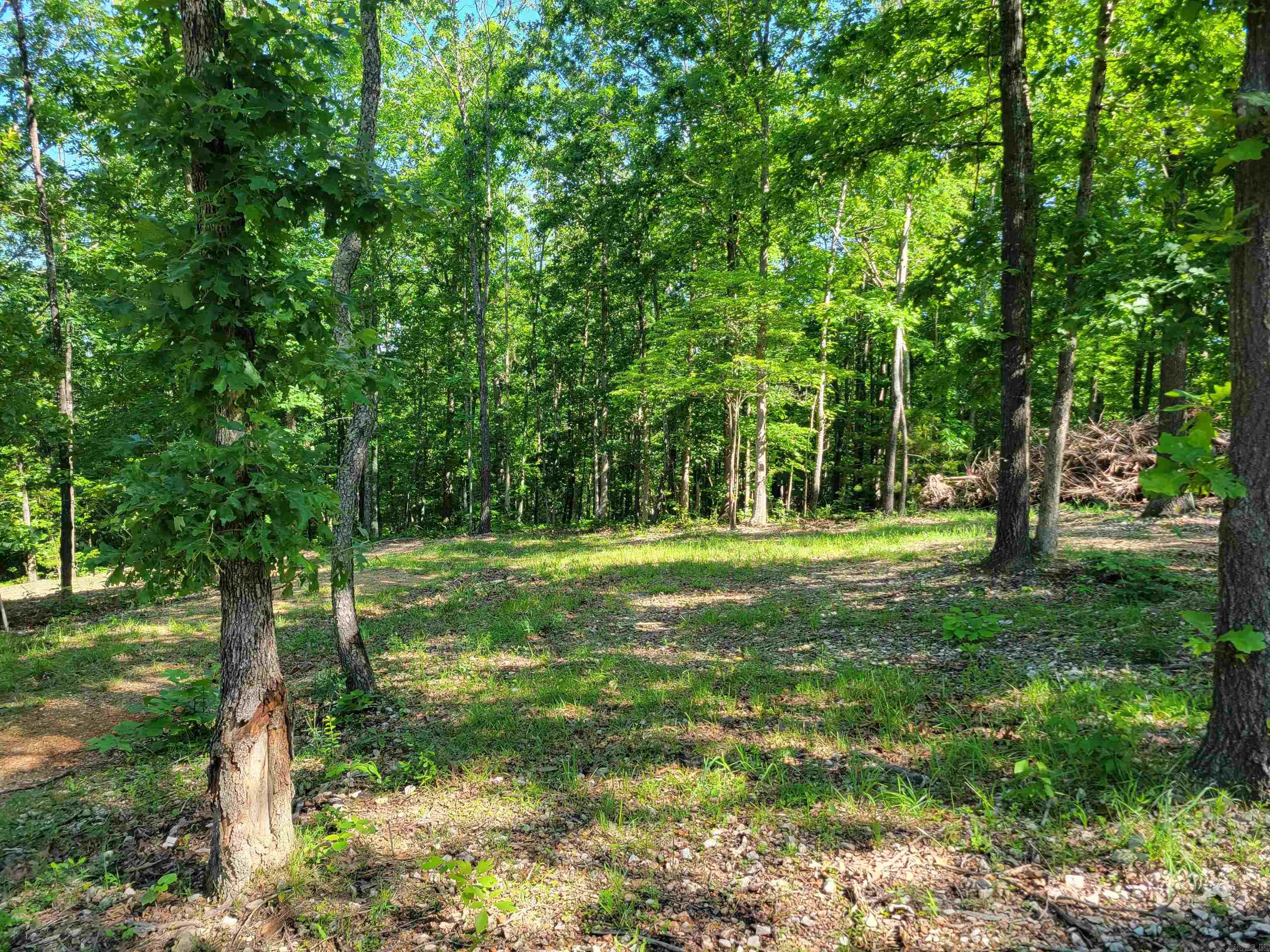 4411 Red Bluff  Marshall, AR