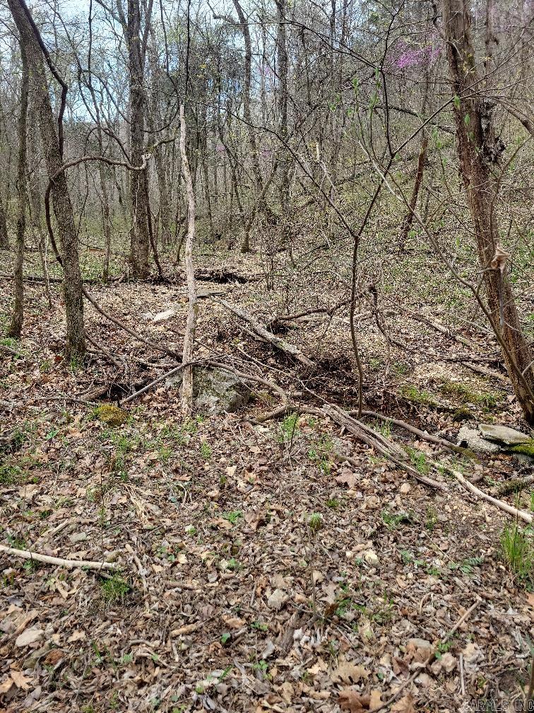 4411  Red Bluff  Marshall, AR
