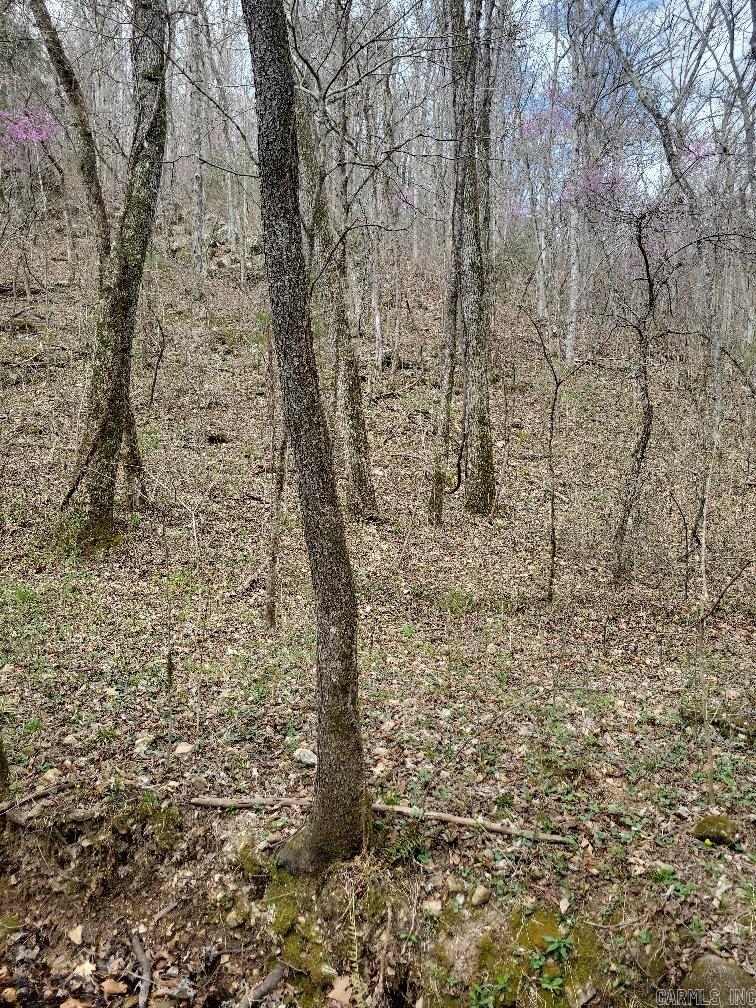 4411  Red Bluff  Marshall, AR