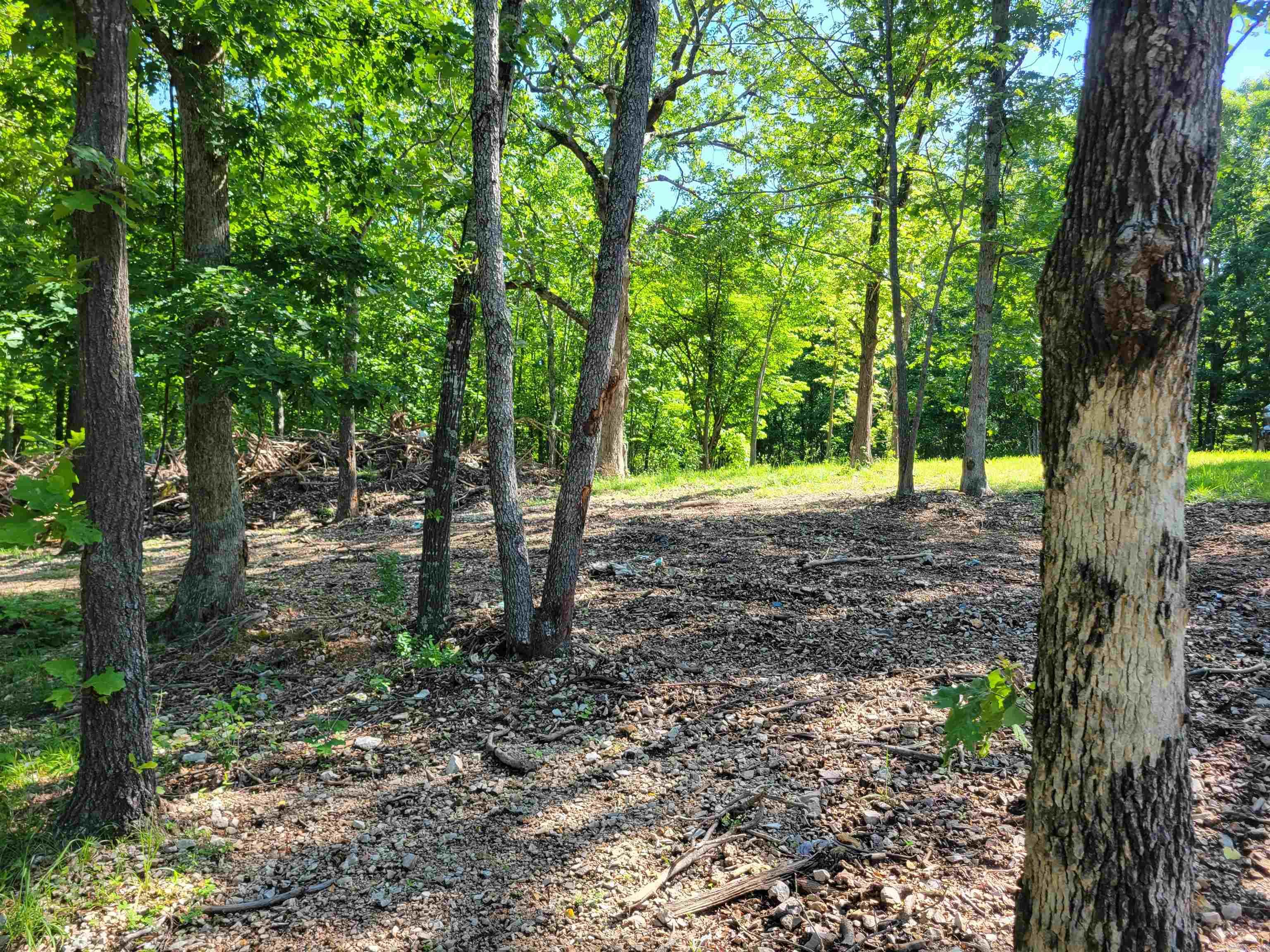 4411 Red Bluff  Marshall, AR