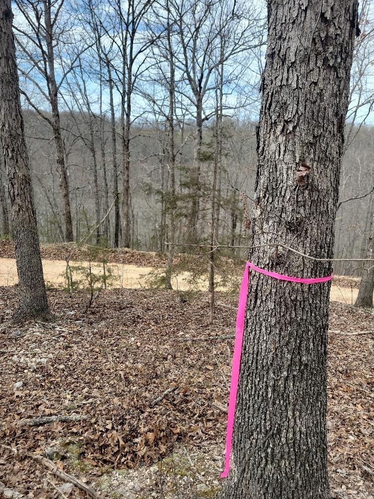 4411  Red Bluff  Marshall, AR
