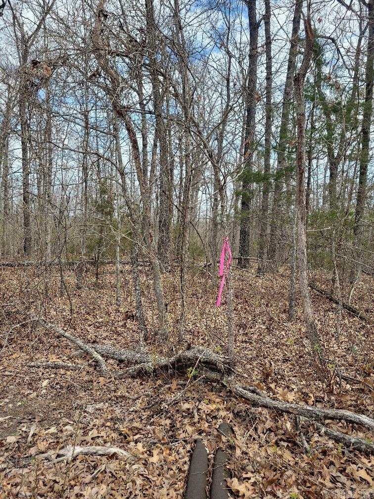 4411  Red Bluff  Marshall, AR
