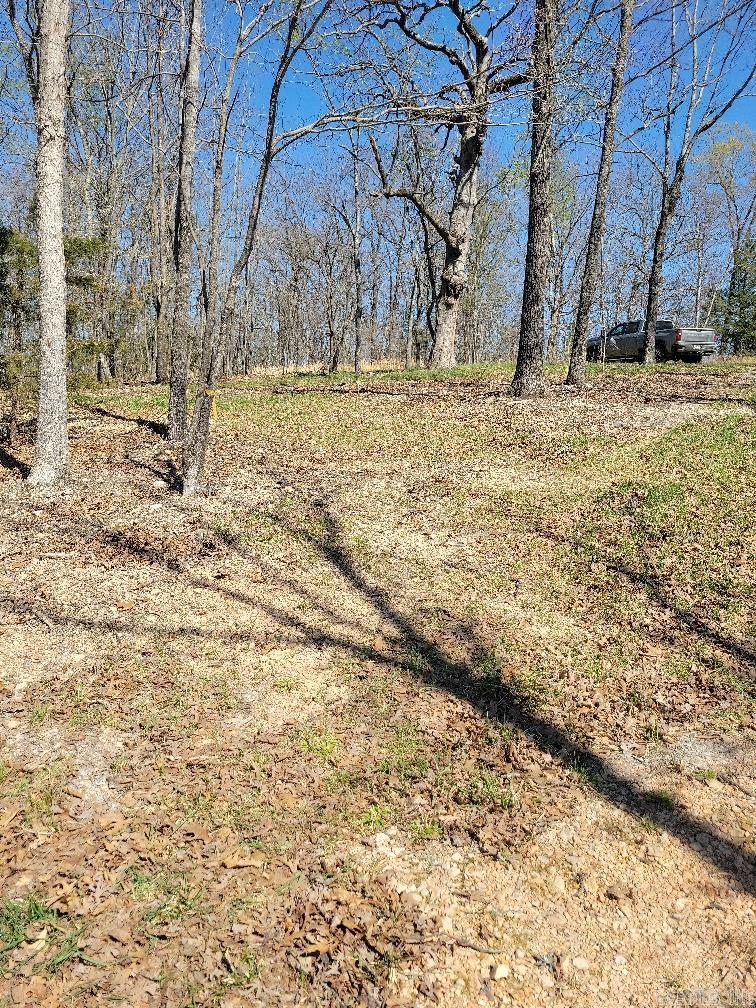 4411  Red Bluff  Marshall, AR