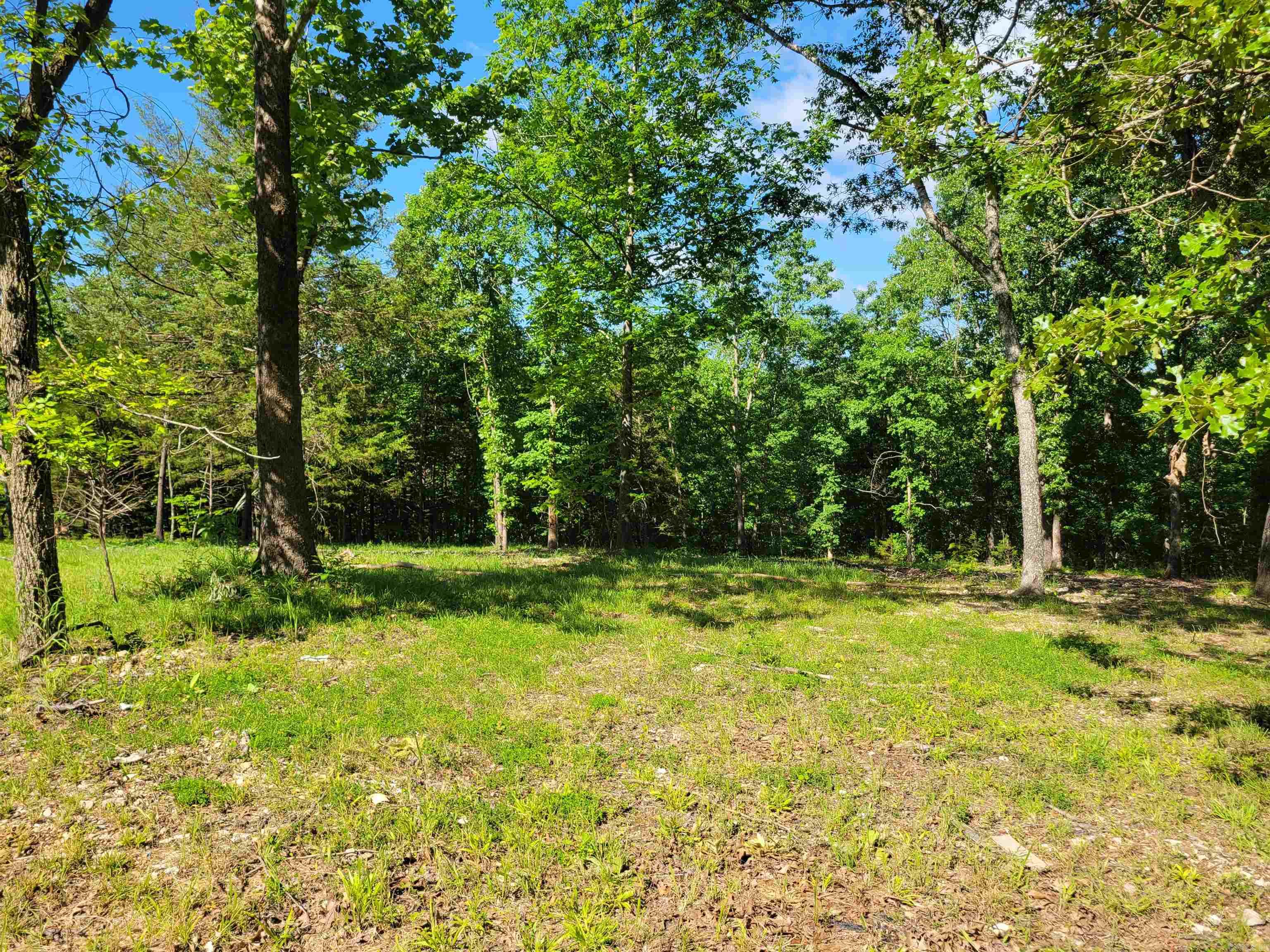 4411 Red Bluff  Marshall, AR