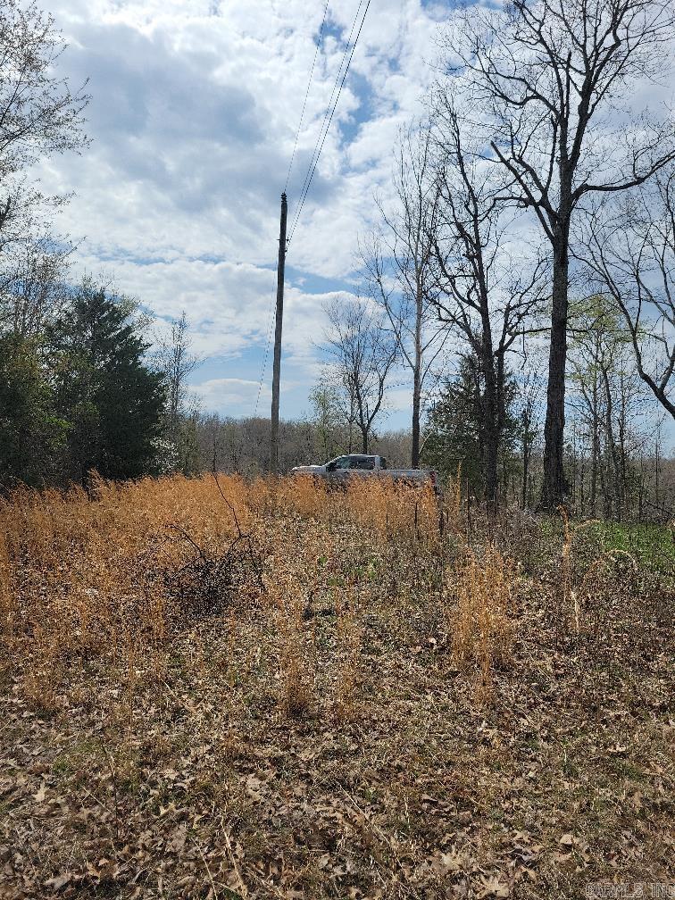 4411  Red Bluff  Marshall, AR