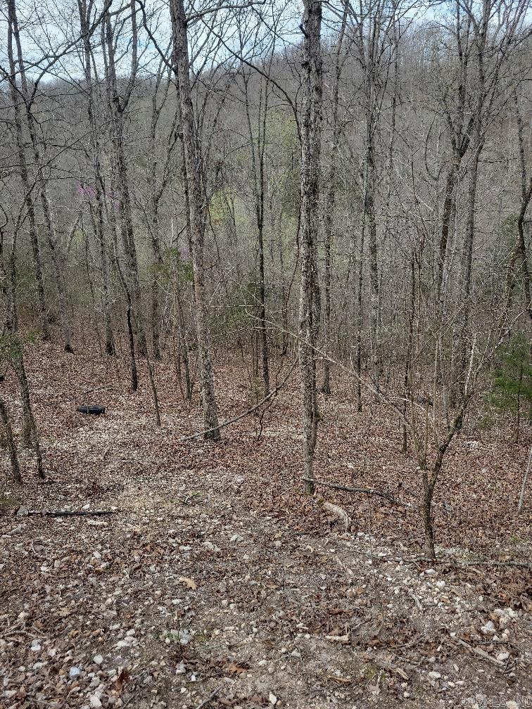 4411 Red Bluff  Marshall, AR
