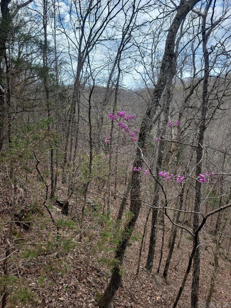 4411  Red Bluff  Marshall, AR