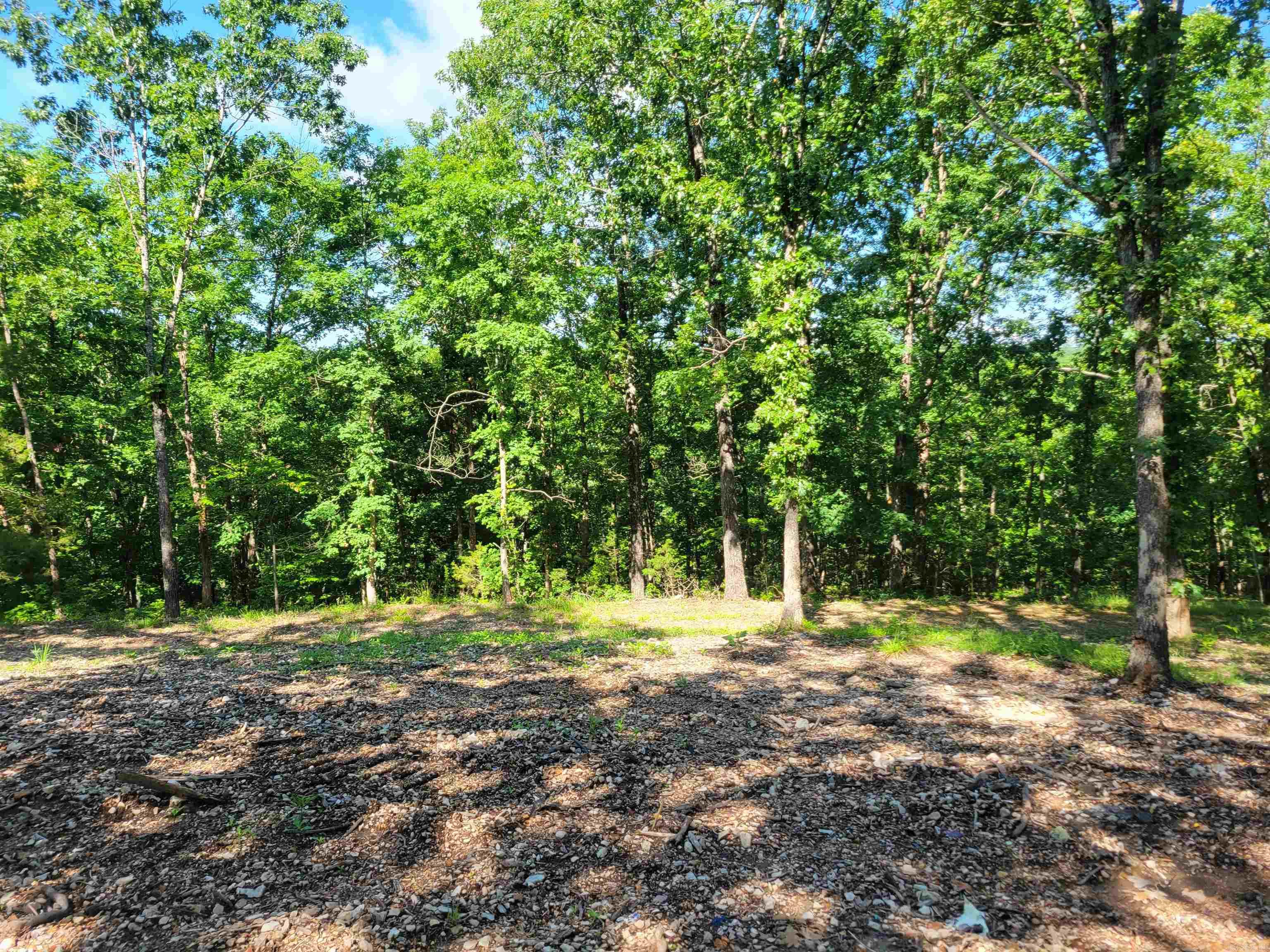 4411 Red Bluff  Marshall, AR