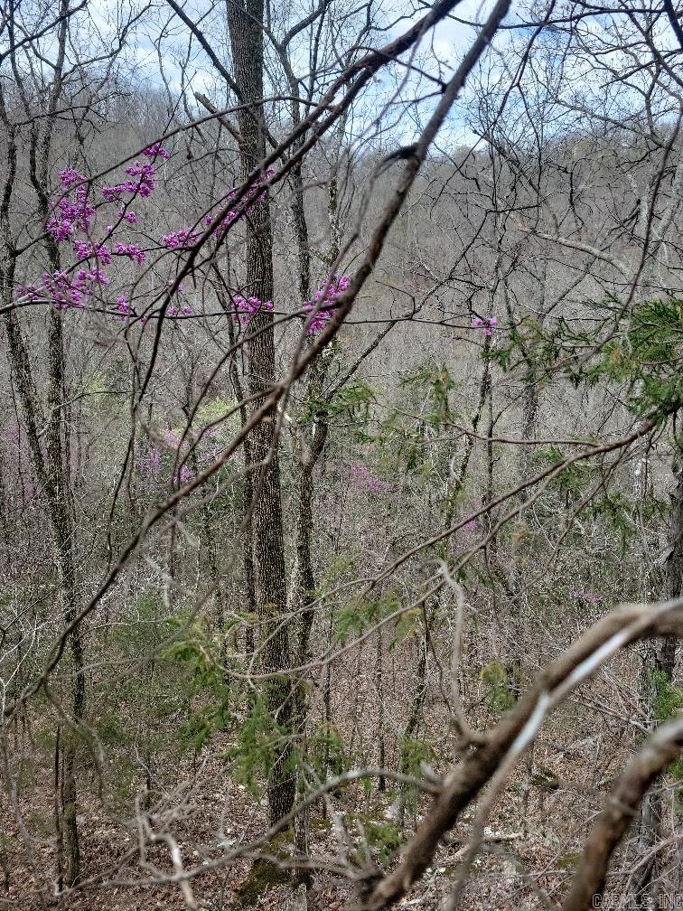 4411  Red Bluff  Marshall, AR