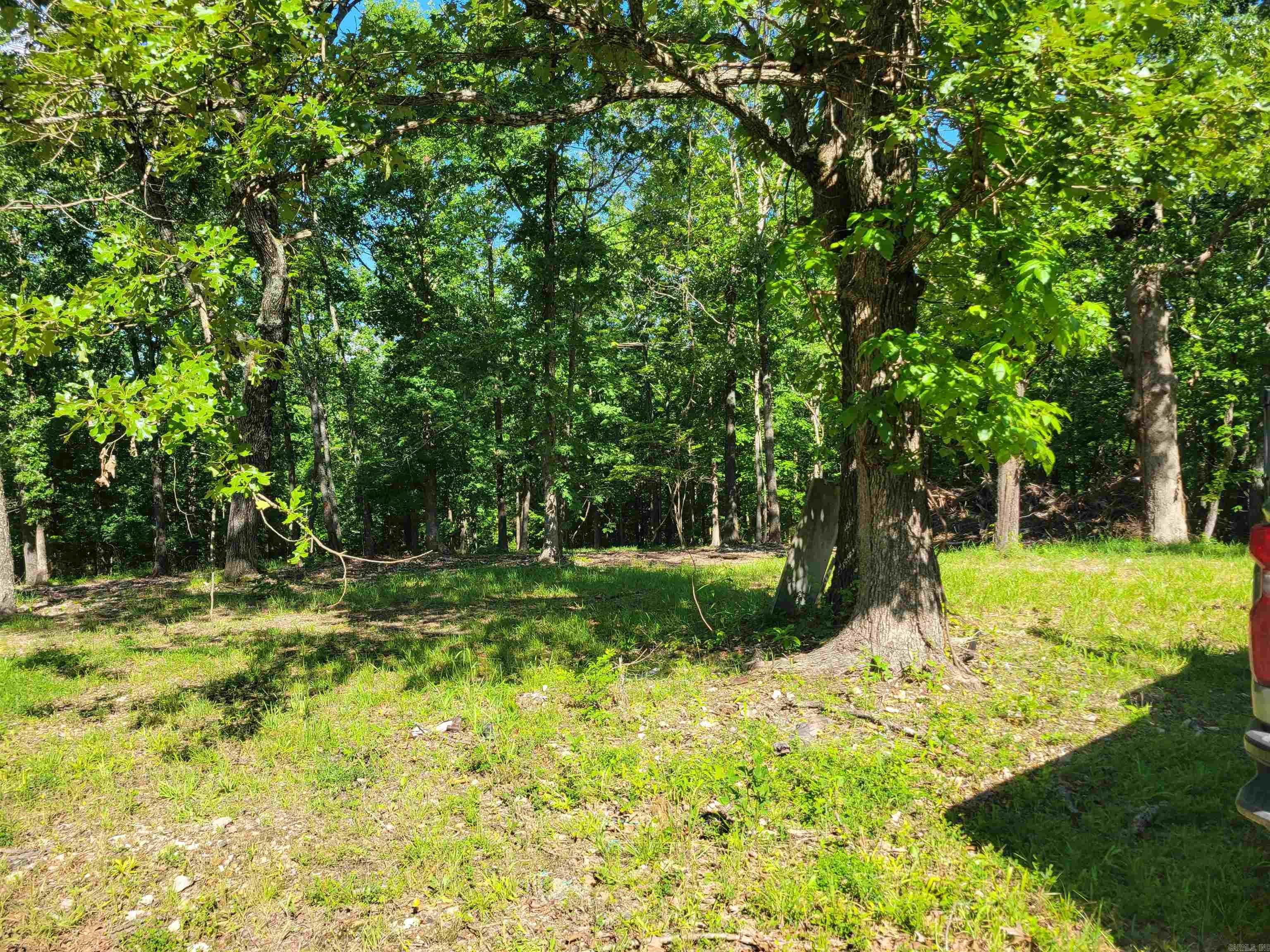 4411 Red Bluff  Marshall, AR