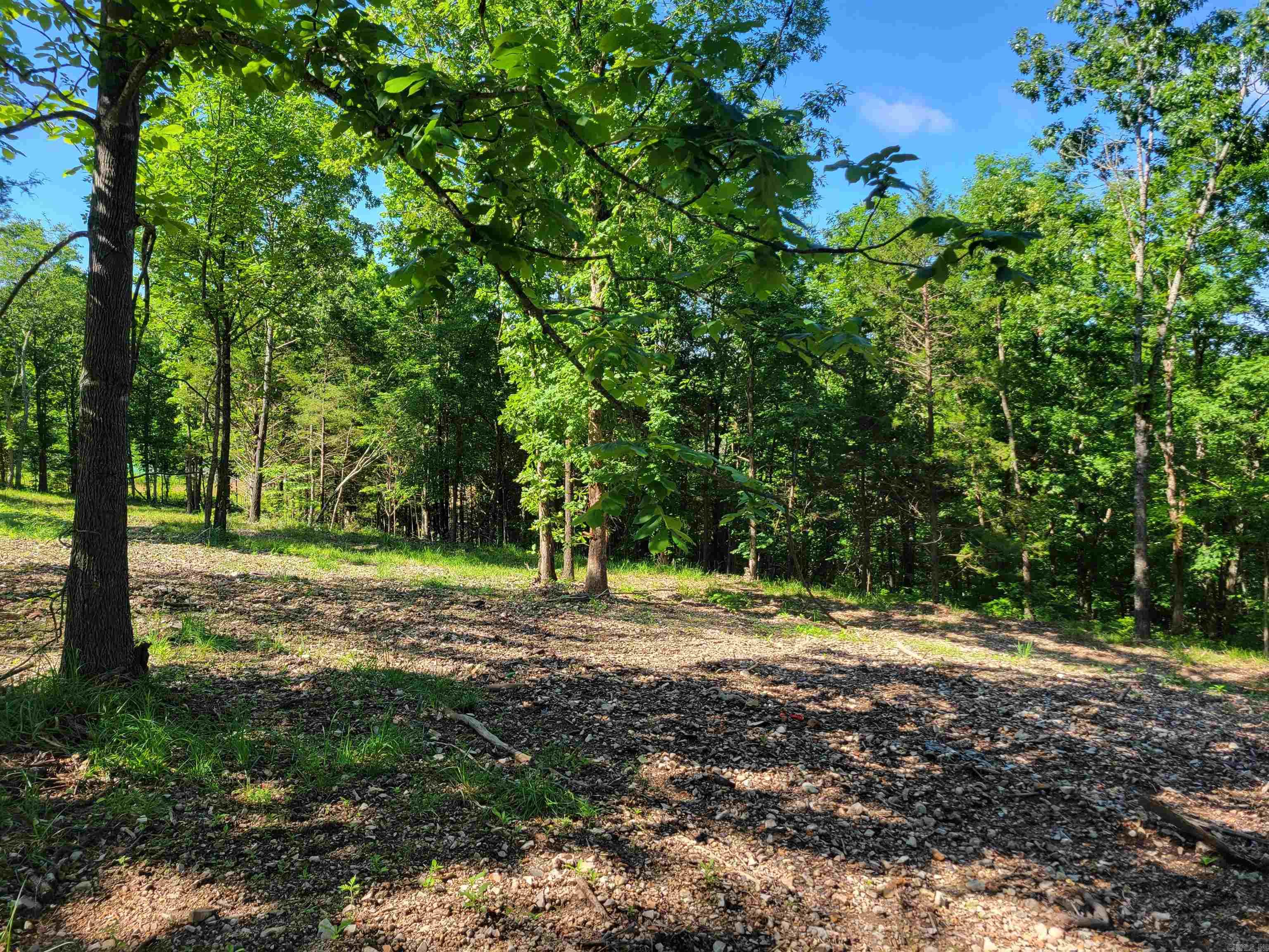 4411 Red Bluff  Marshall, AR