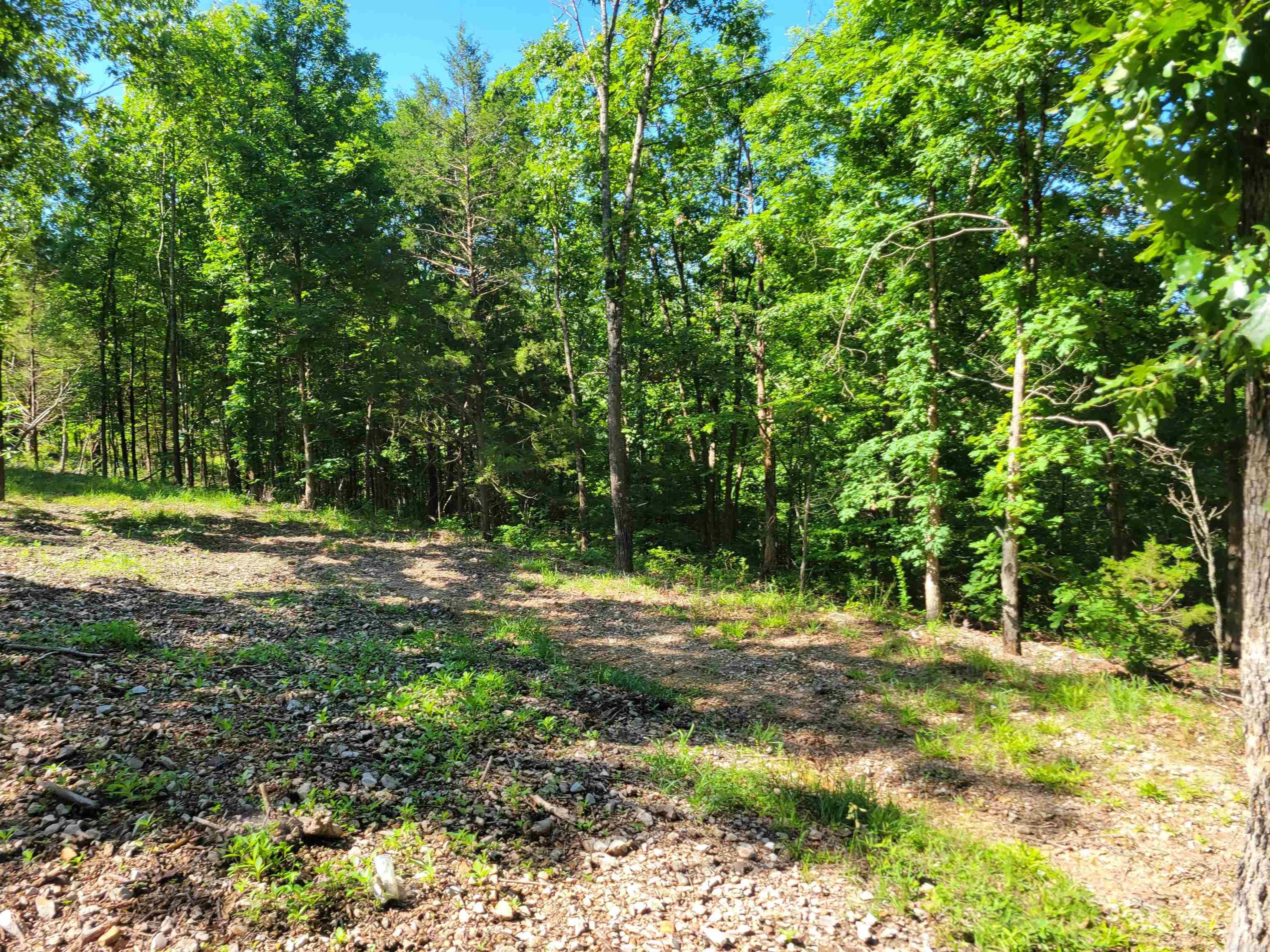 4411 Red Bluff  Marshall, AR